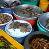 Froschverkauf an einem Marktstand in Duong Dong