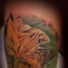 Tattoo by Neo Van Bosch, Van Bosch Tattoo Bodenmais, Van Bosch, Christian Nachmüller Tattoo, Neo Van Bosch, Butterfly Tattoo, Schmetterling Tattoo, Realistic Tattoo,