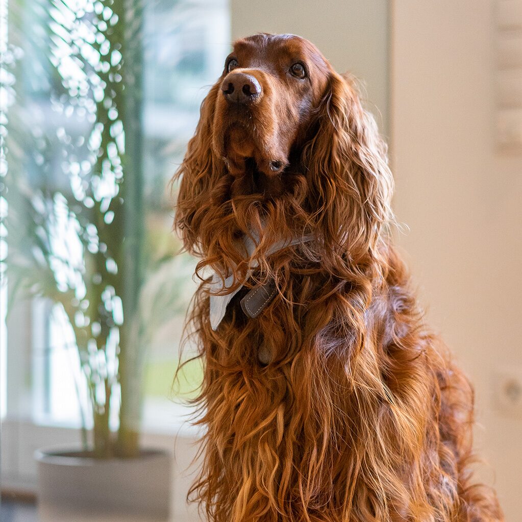 Kooper Kayser - Master of Welcome