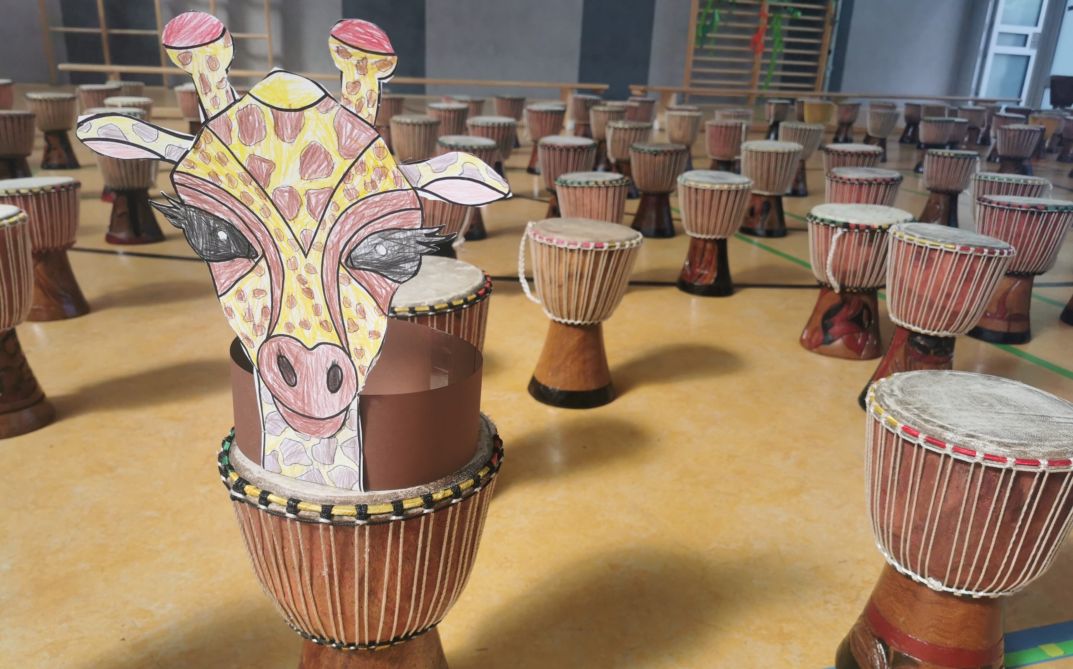 Trommelprojekt mit Trommellöwen in der Kita oder Schule: etliche Djembe Trommeln in einer Turnhalle