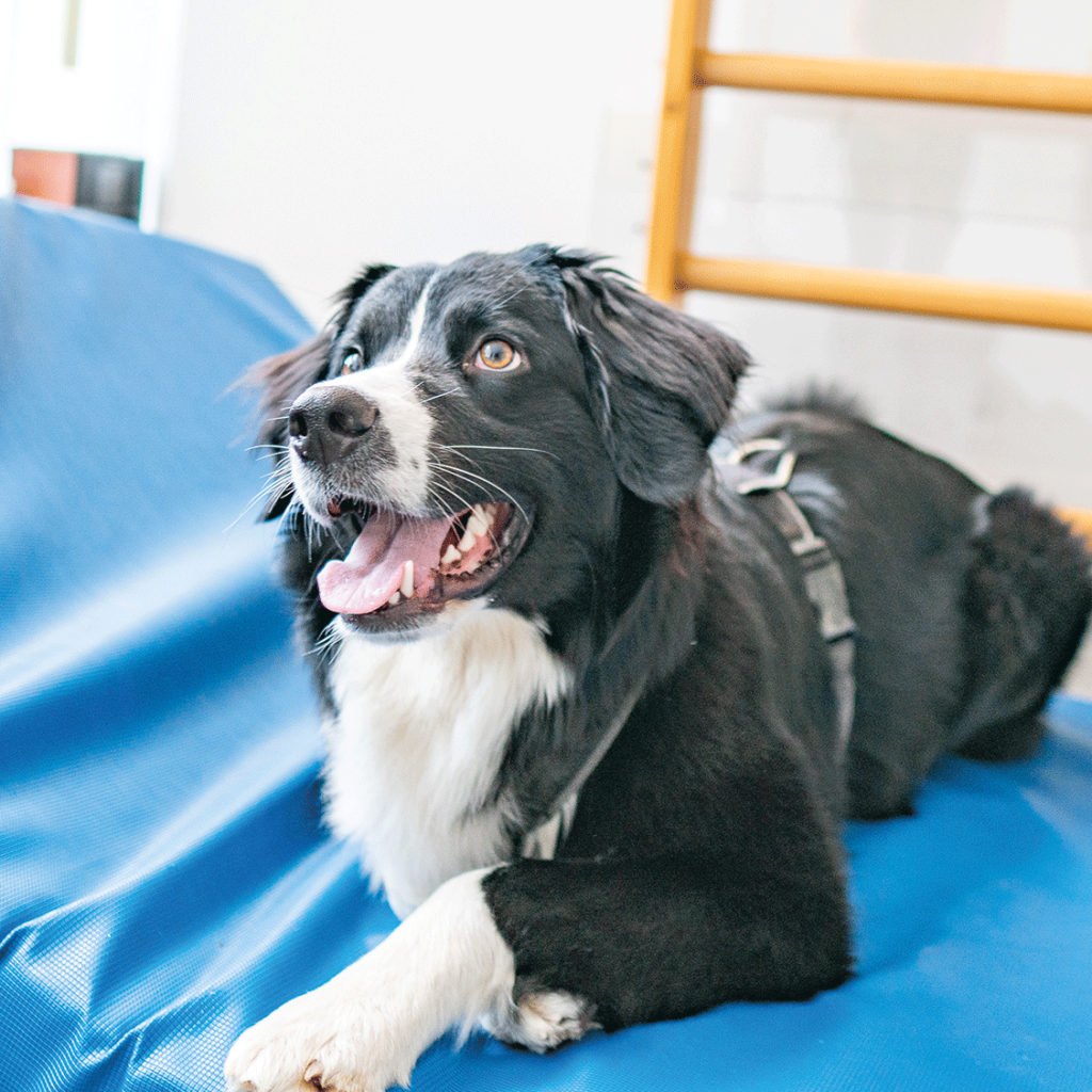 Die Praxis - Therapiezentrum Hamm GbR