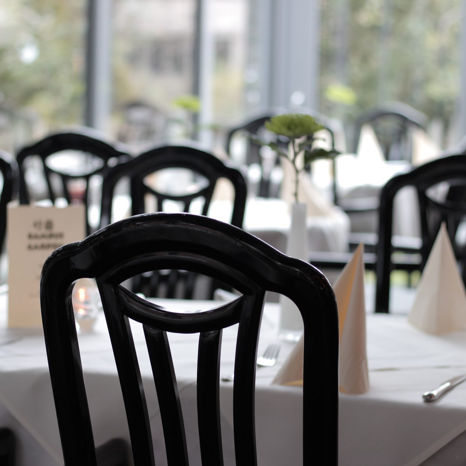 Bambus Garden China Restaurant Asiatische Küche‎