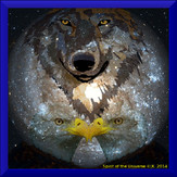 Spirit of the Universe