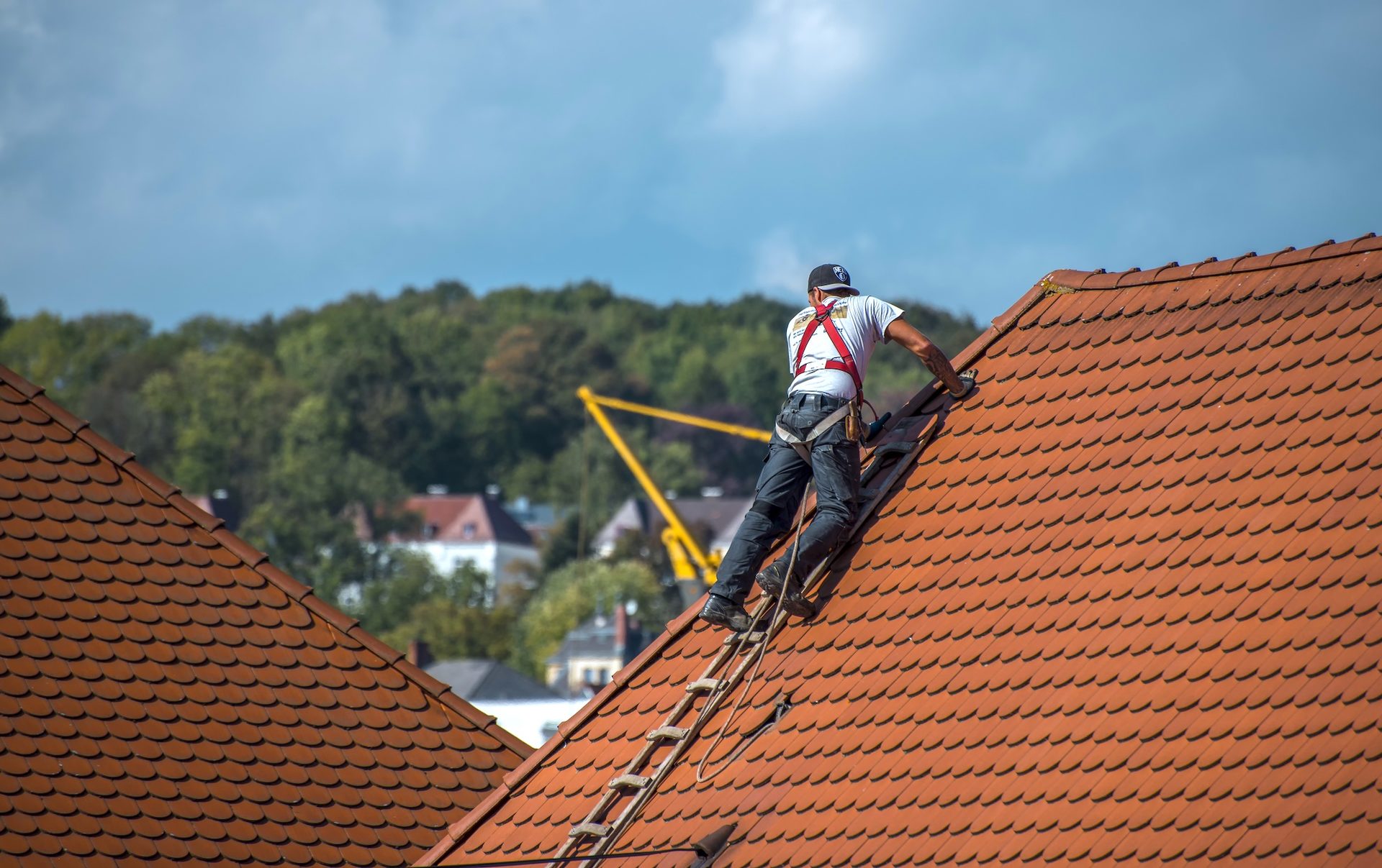 WEBDESIGN STEFAN ELLBRÜCK