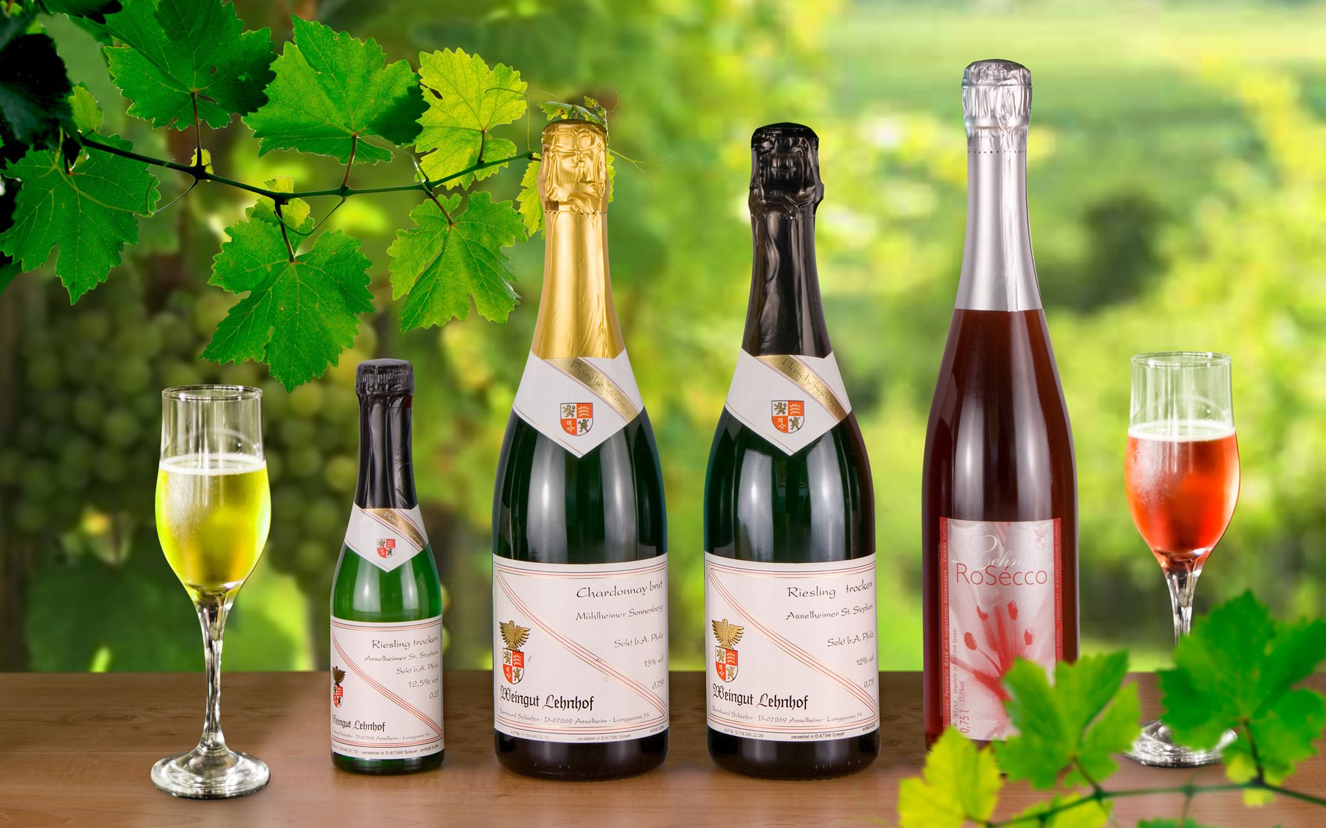 WEBDESIGN STEFAN ELLBRÜCK