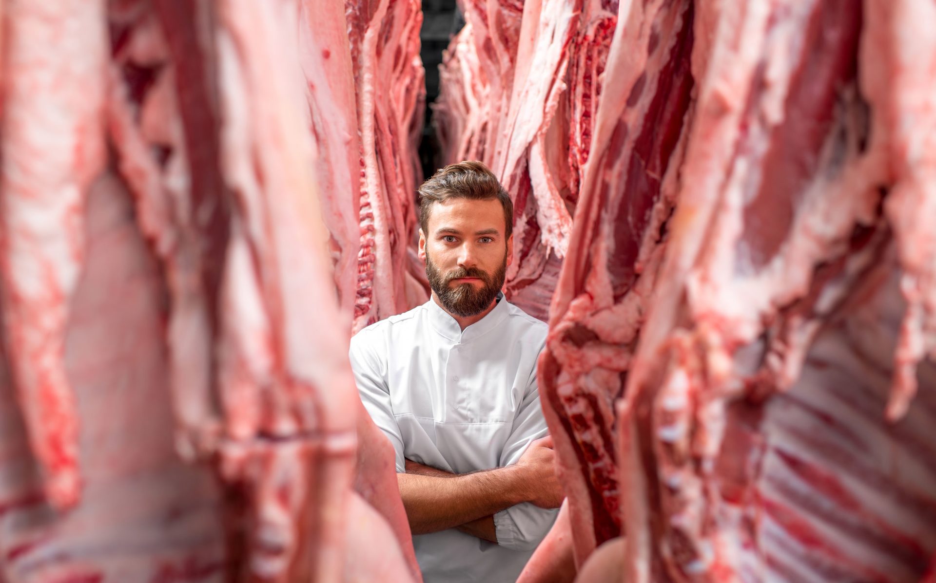 WEBDESIGN STEFAN ELLBRÜCK