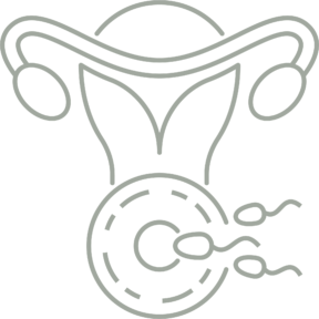 Icon Frauenärztin Behandlung