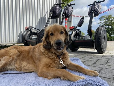 SegTeam Norden - Mit Menschen in Bewegung