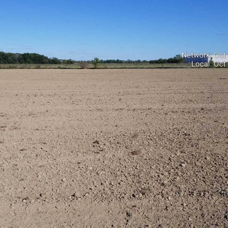 Anson Park Project - Earthwork Photos