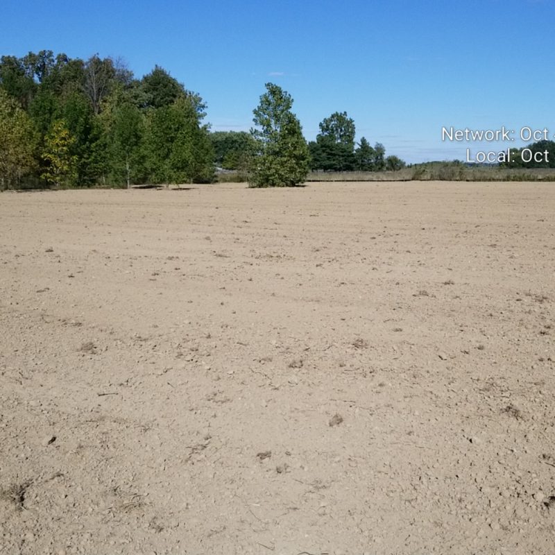 Anson Park Project - Earthwork Photos