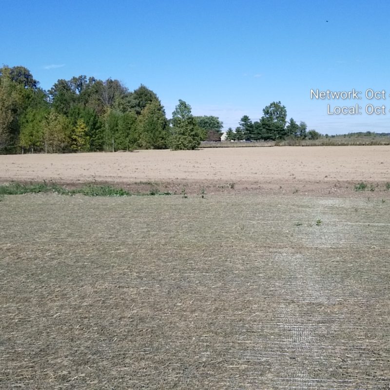 Anson Park Project - Earthwork Photos