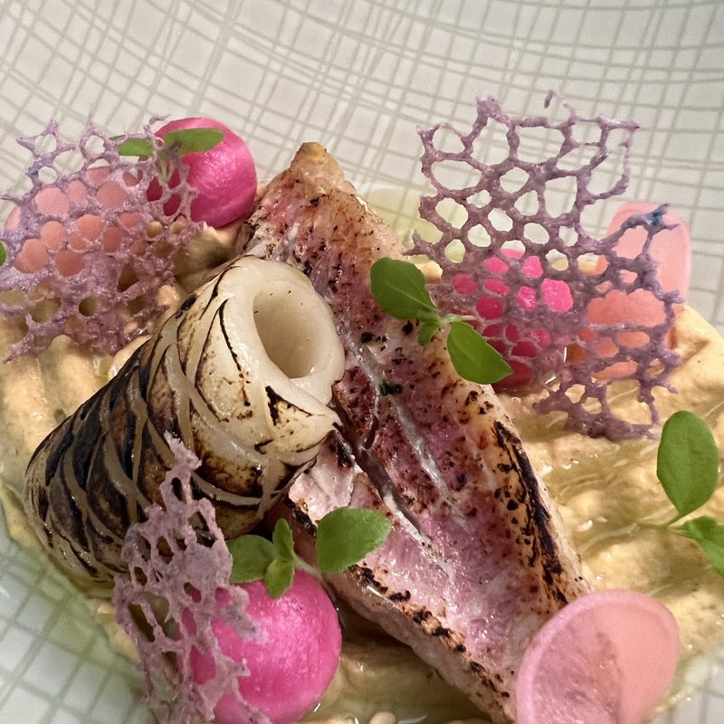 Rotbarbe & Pulpa, Humus