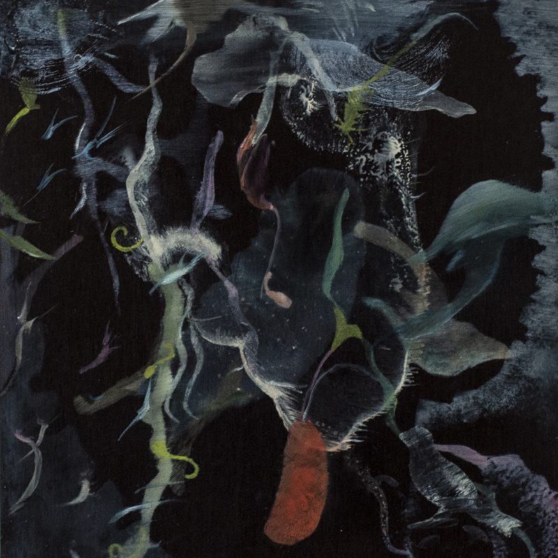 24,8x23,5, oil/wood, „hommage aux magnolias“, 2020