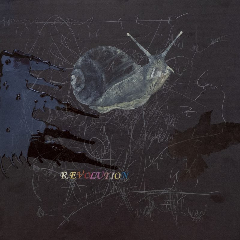 50x50,technique mixte/wood, „Revolution“, 2020