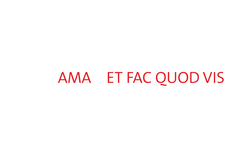Logo Magic Zyks